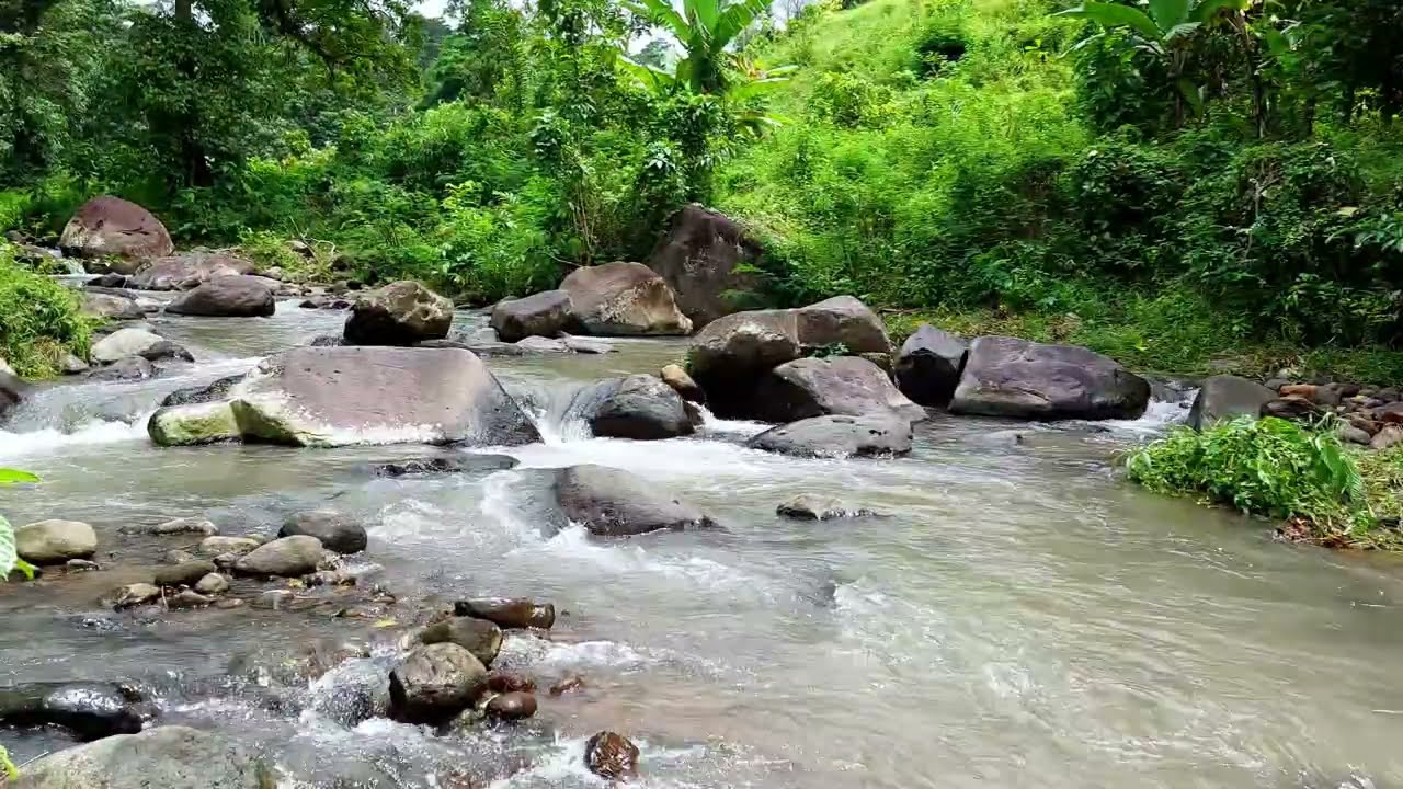 Wild River Nature Sounds | Deep Relaxation & Natural White Noise