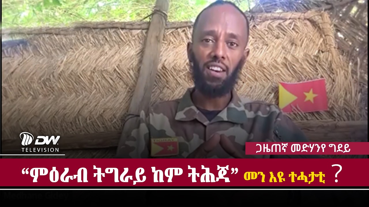DW International ፃንሒት ኣብ እዋናዊ ዛዕባታት ምስ ጋዜጠኛ መድሃንየ ግደይ