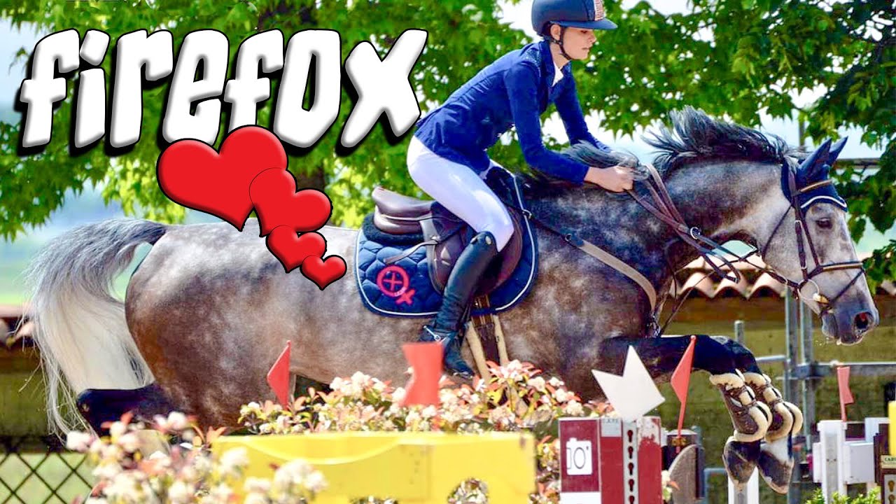 PERCHE' HO VENDUTO FIREFOX? -Faq.