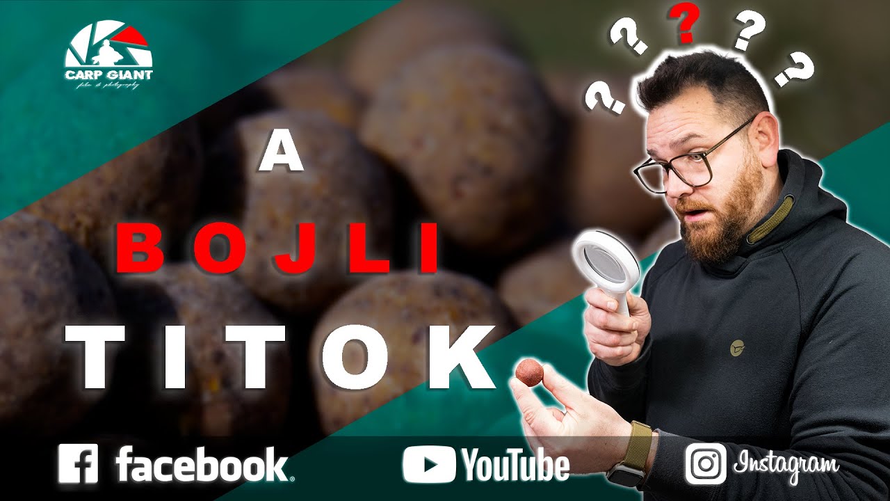 Pontyhorgászat józanul - A bojli titok