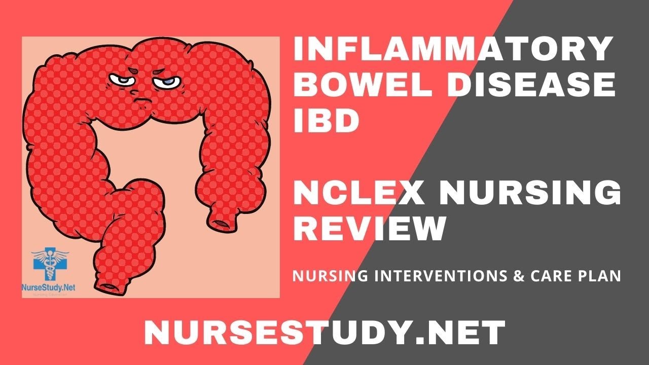 Inflammatory Bowel Disease IBD Nursing Diagnosis and Nursing Care Plans