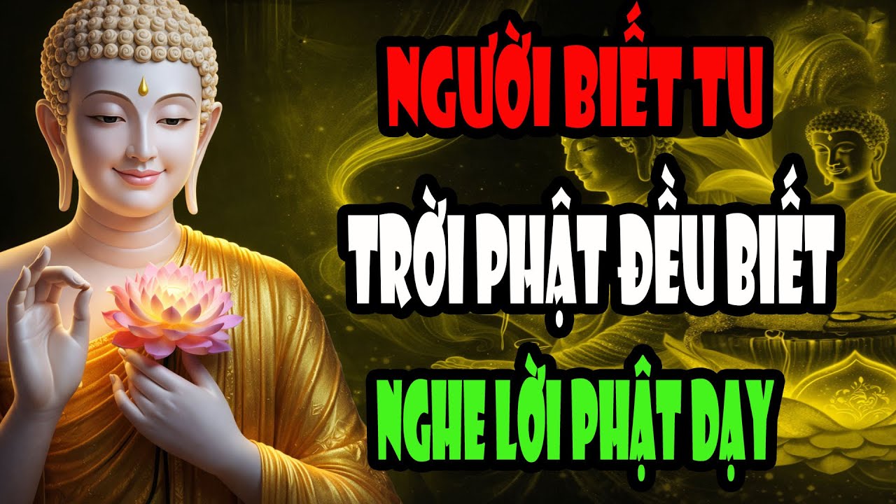Vì Sao Người Biết Tu, Biết Niệm Phật Luôn Được Trời Phật Chứng Biết – Nghe Để Vững Tâm Hành Đạo