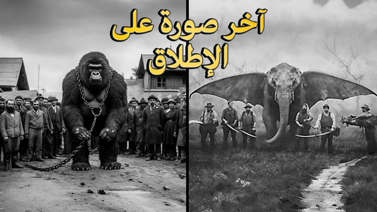 7 صور أخيرة لحيوانات منقرضة من حول العالم! | العبدلاوي