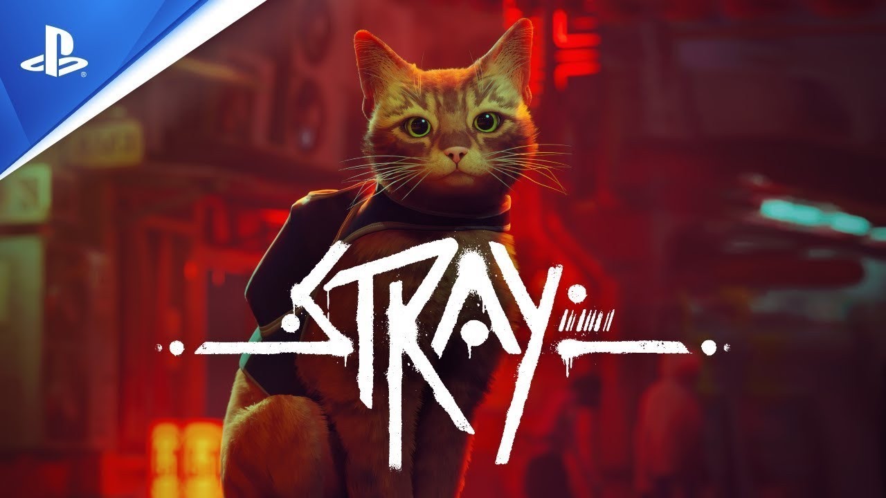 STRAY (PS5) Parte 1 | #stray #ps5 #javienigma