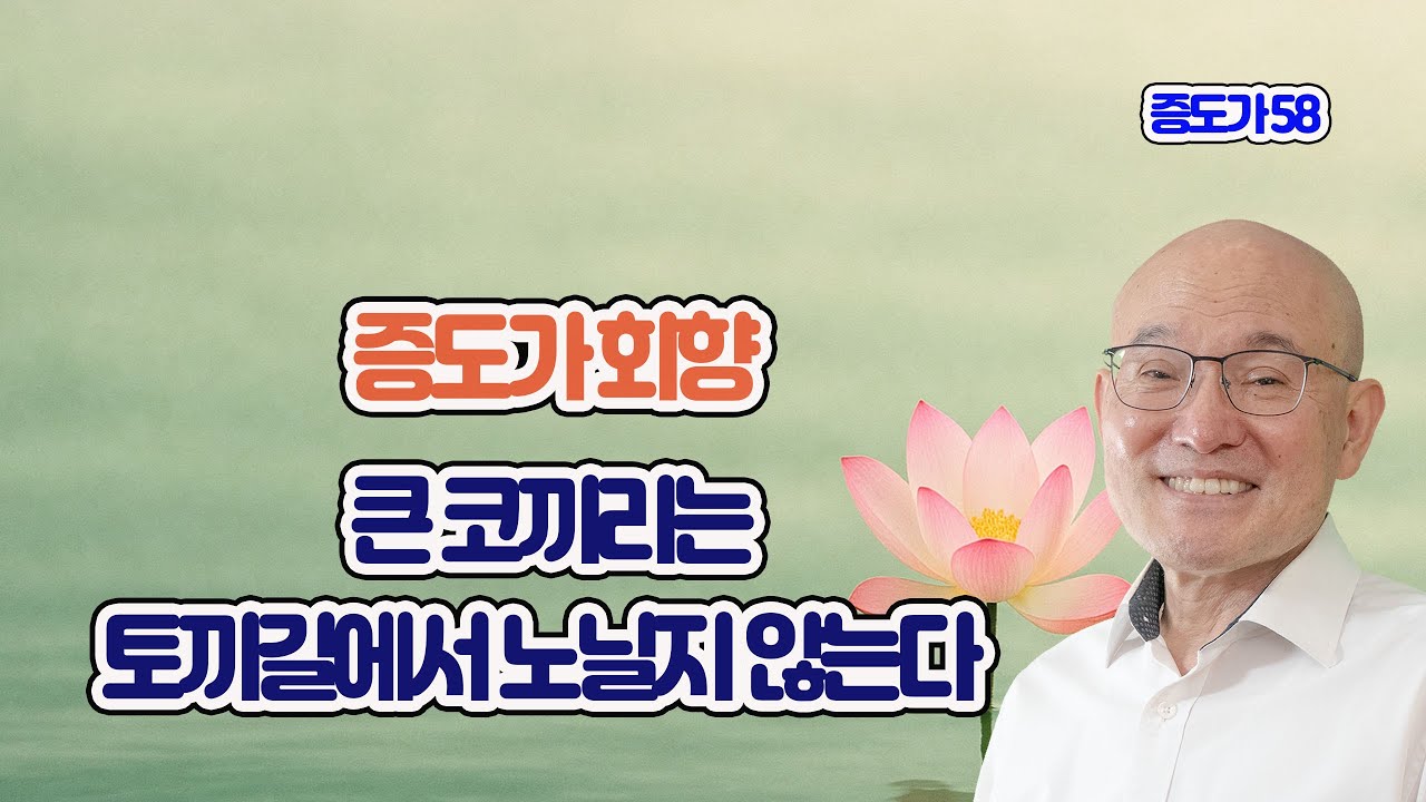 2120. 증도가 58. 회향, 큰 코끼리는 토끼길에서 노닐지 않는다. 2-428