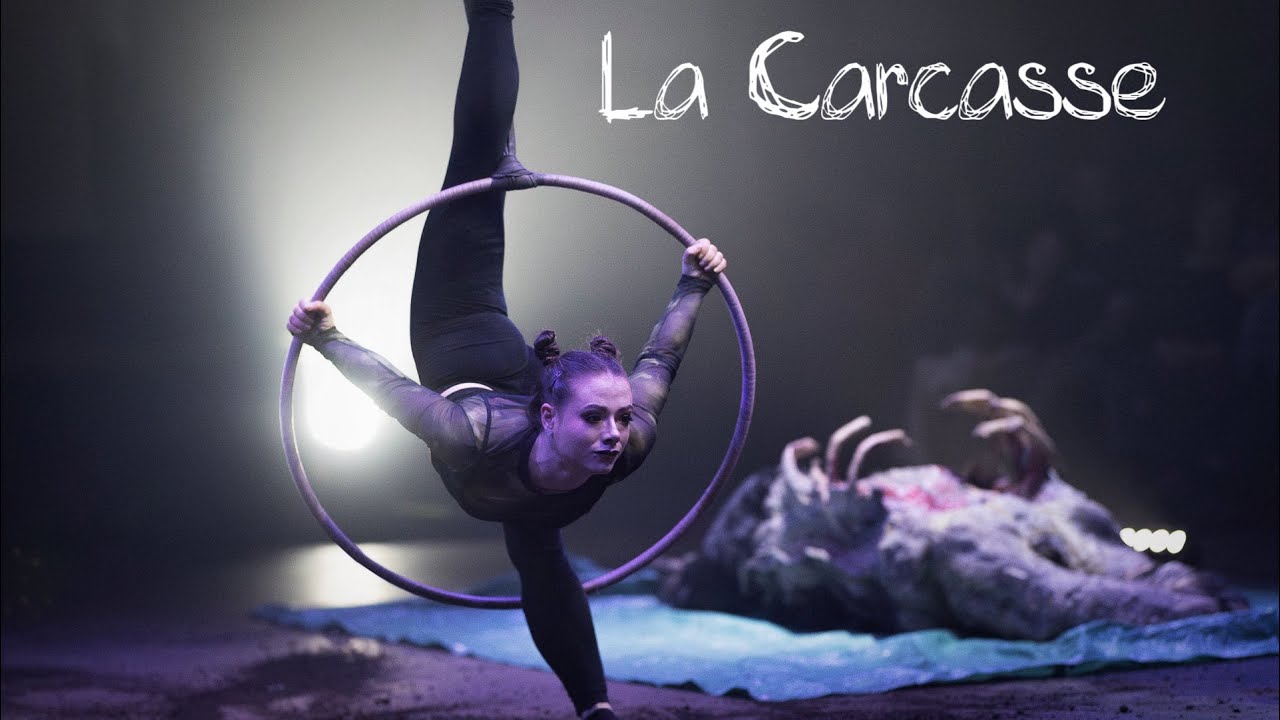 La Carcasse - Cerceau aérien - Sarah-Soleil Nault