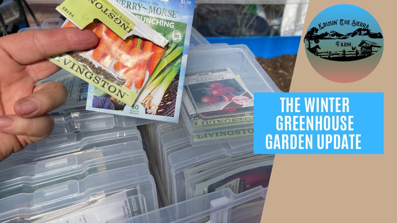 Winter Greenhouse Garden Update