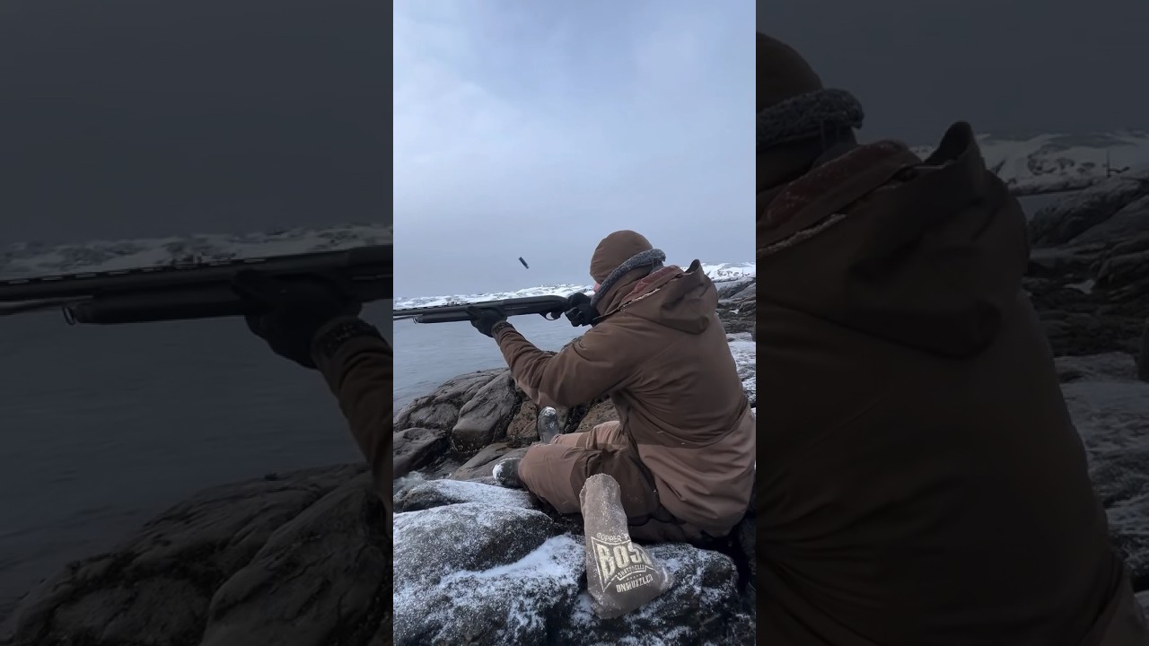 •Chasing the King on the shorelines of Greenland•