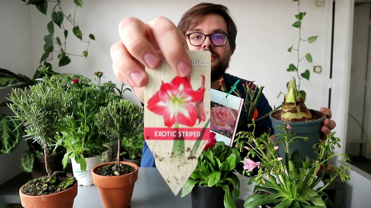 Retour de fête des Plantes de Viroflay, édition printemps 2018 - Bloom ta life