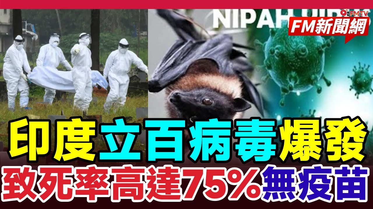 🔴印度立百病毒再爆5確診1死！致死率高達75%無疫苗，疾管署急預告列第五類傳染病，去印度旅遊千萬別喝這一種飲品！︱#fm新聞網 #立百病毒 #印度疫情 傳染病 #尼帕病毒 #果蝠傳染 #疫情