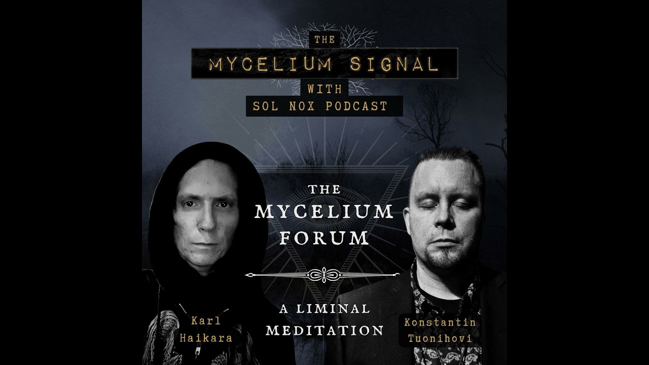 The Mycelium Forum - "A Liminal Meditation" - With Karl Haikara