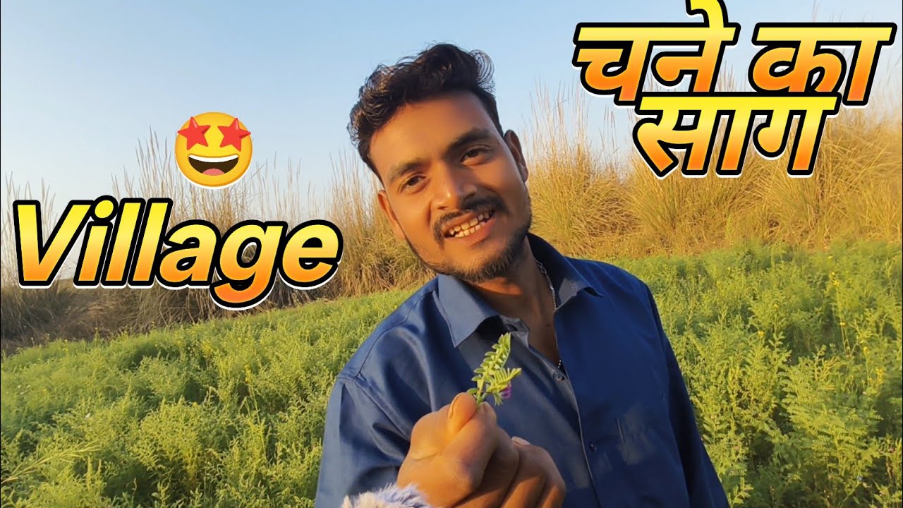 Village ka taja chane ka saag ll aap kabhi chane ka saag khaya hai ll 