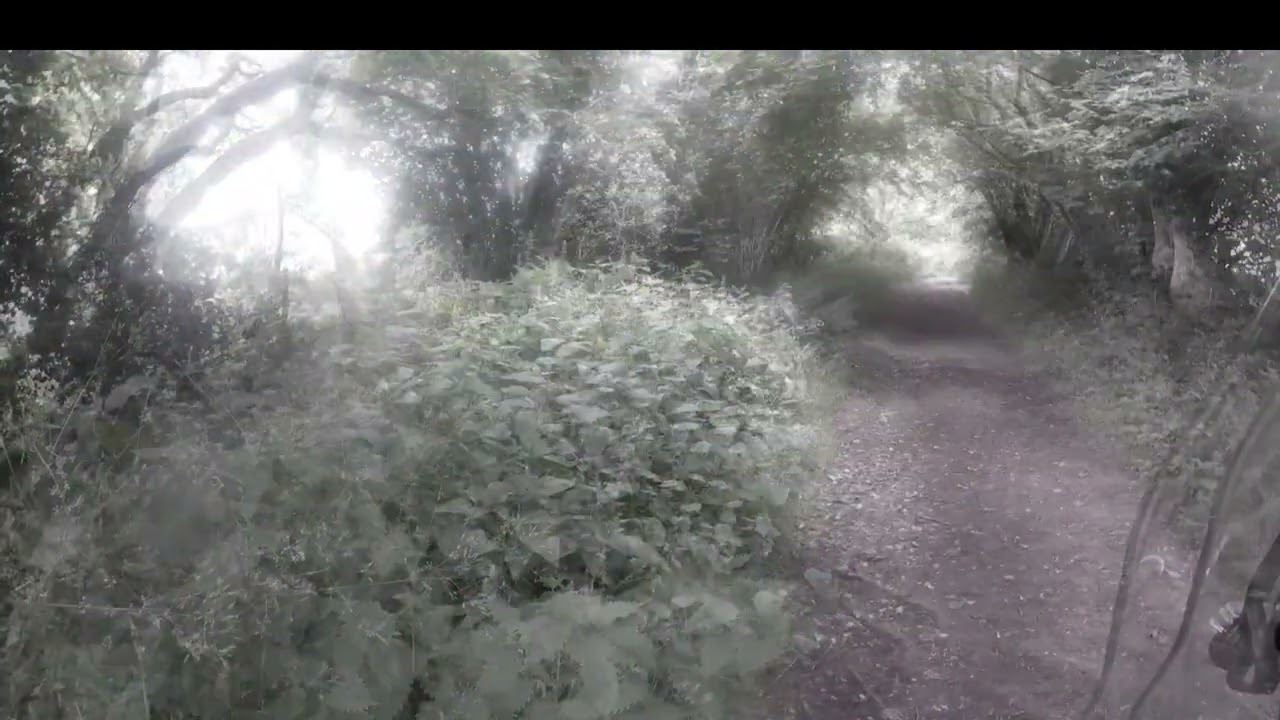 Kitcombe Lane (Farringdon Byway 22/Newton Valance Byway 32) HA04, Hampshire - Motorbike Trail Riding