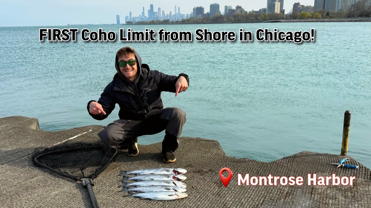 Первый лимит Coho с берега в Чикаго — успех в гавани Монтроуз!