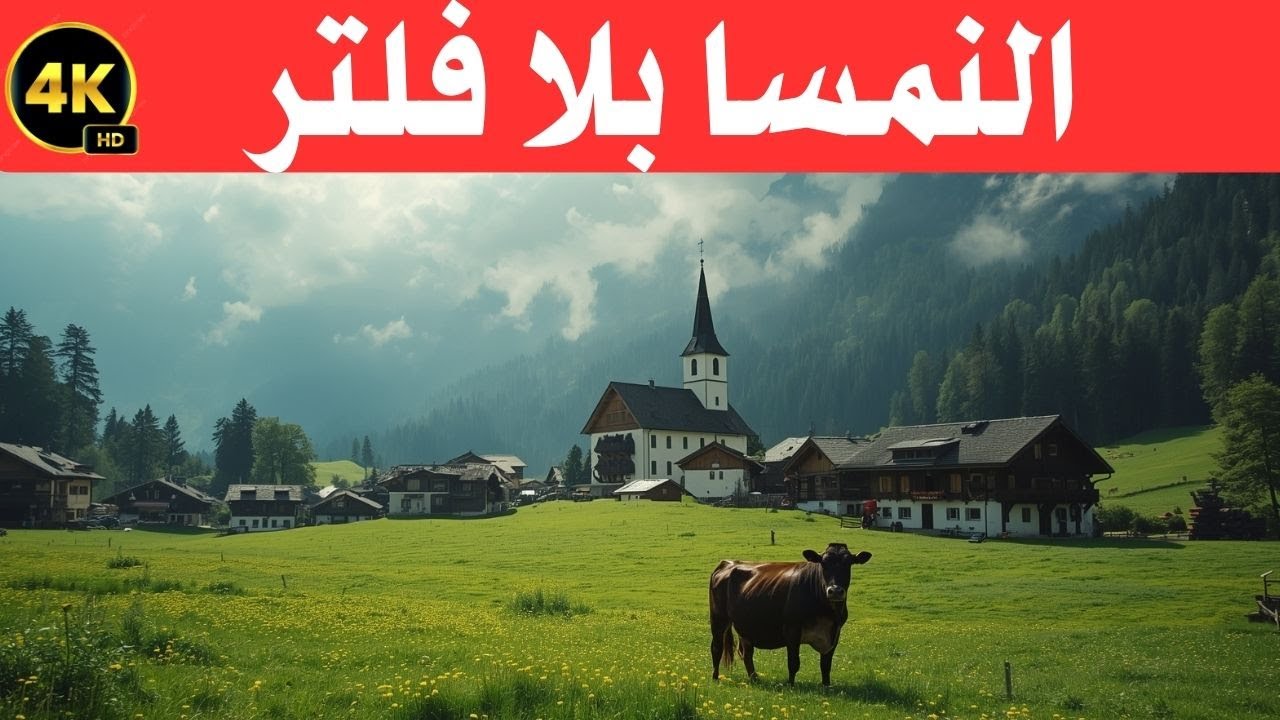 عجائب و أسرار النمسا/ رحلة وثائقية إلى أجمل الأماكن في النمسا / وثائقي سفر4k
