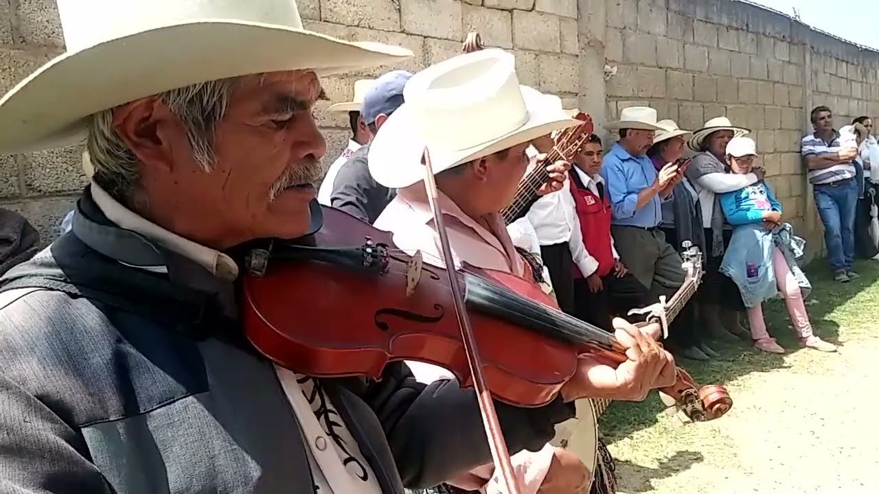 El  chimareku | Los Canarios de Jiquipilco el Viejo |Temoaya, Edomex