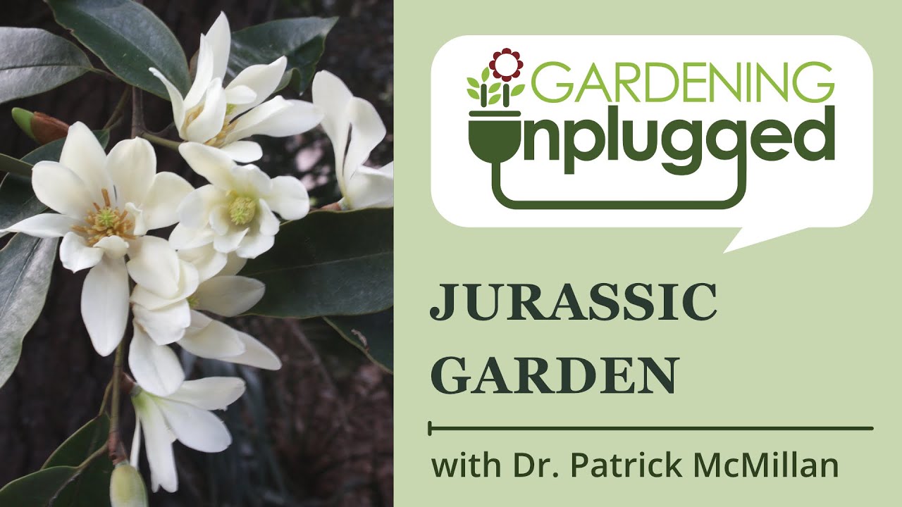 Gardening Unplugged - Jurassic Gardens with Dr. Patrick McMillan.