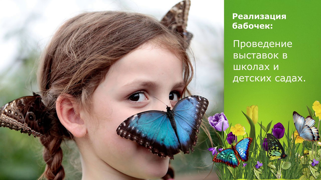 Презентация франшизы ФЕРМА-БАБОЧЕК.РФ