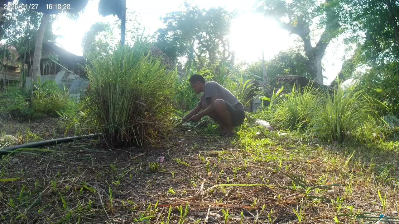 BONG BIGLAANG LINIS NG LIKOD BAHAY NAMIN@kuyanolivlog8742 