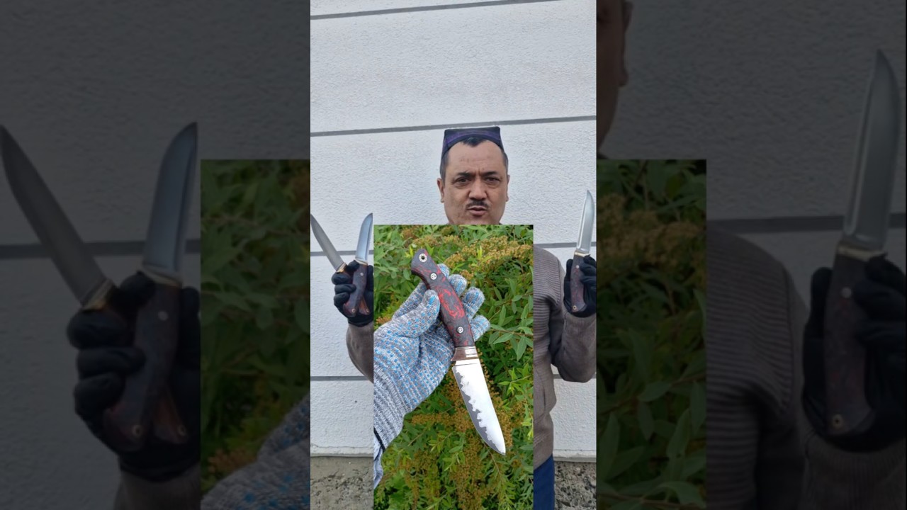 Sovga uchun ajoyib tanlov. Pichoqlar. 
