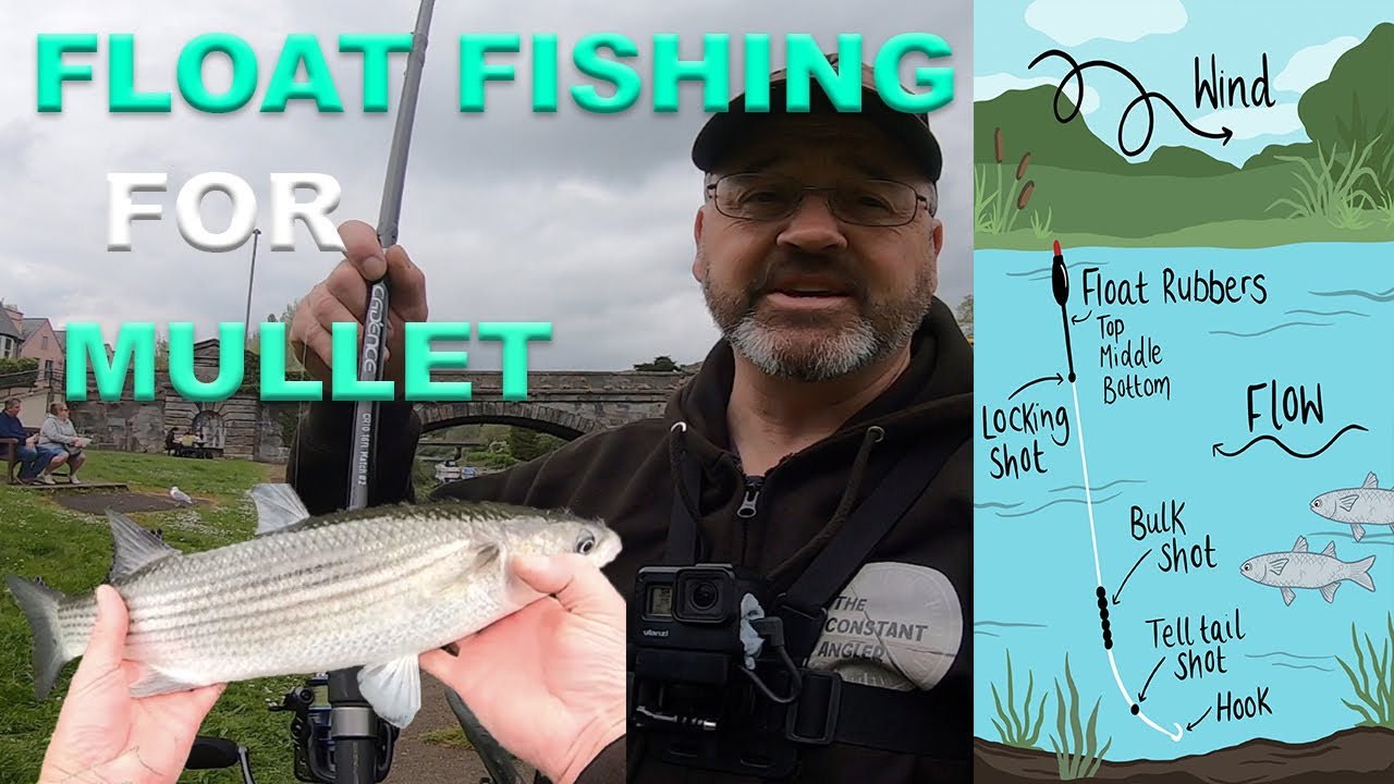 Float fishing for Grey Ghosts ... Mullet on Bread Flake