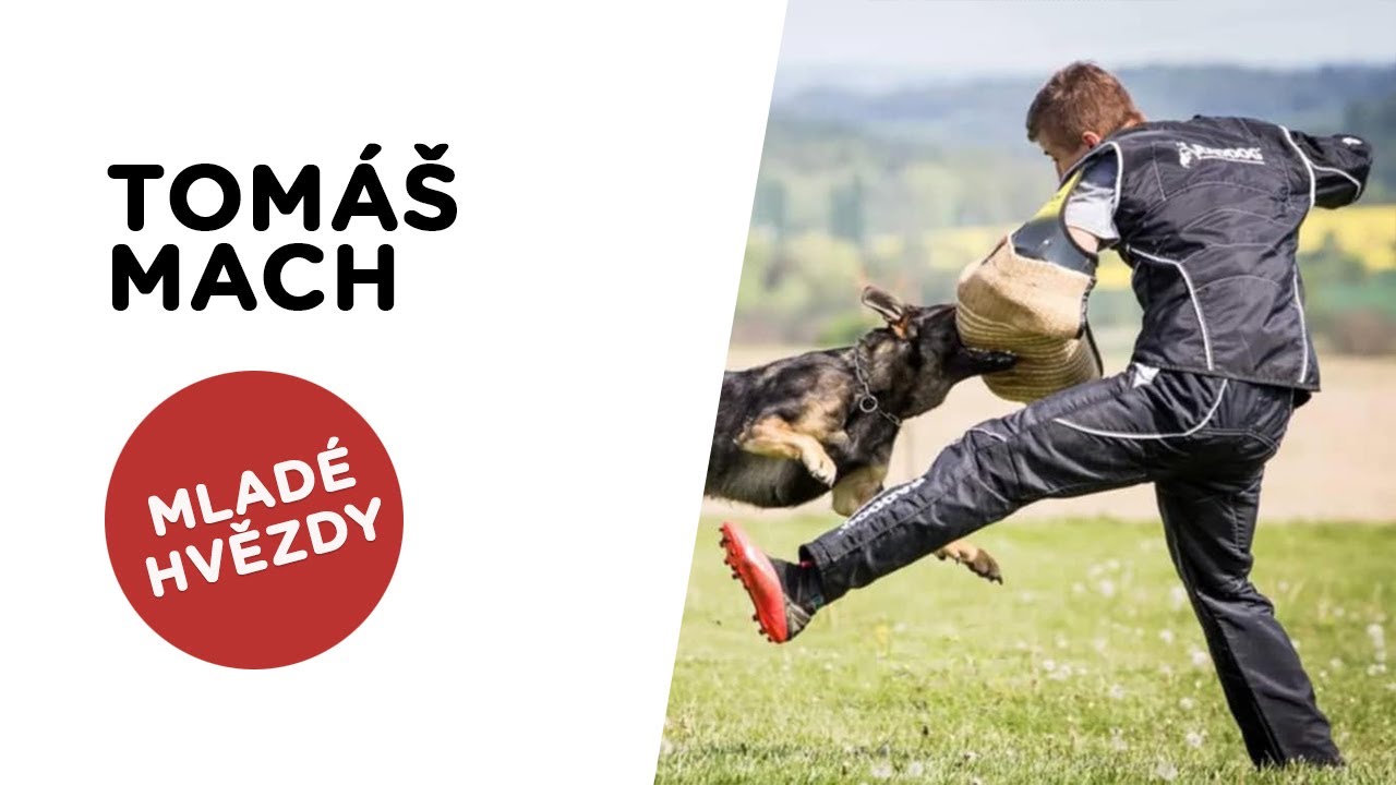 🐶 Tom&aacute;&scaron; Mach - Mlad&eacute; hvězdy - Tlapka TV