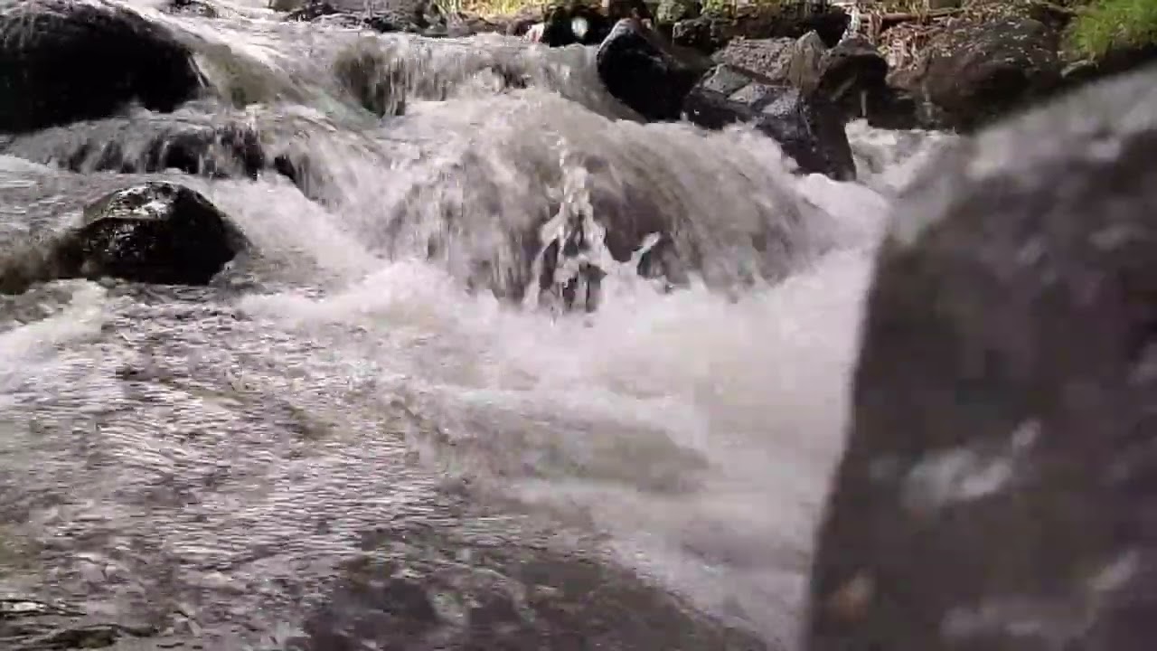 Natural view of flowing river water is very calming to the mind  #river #nature #watersounds #foryou