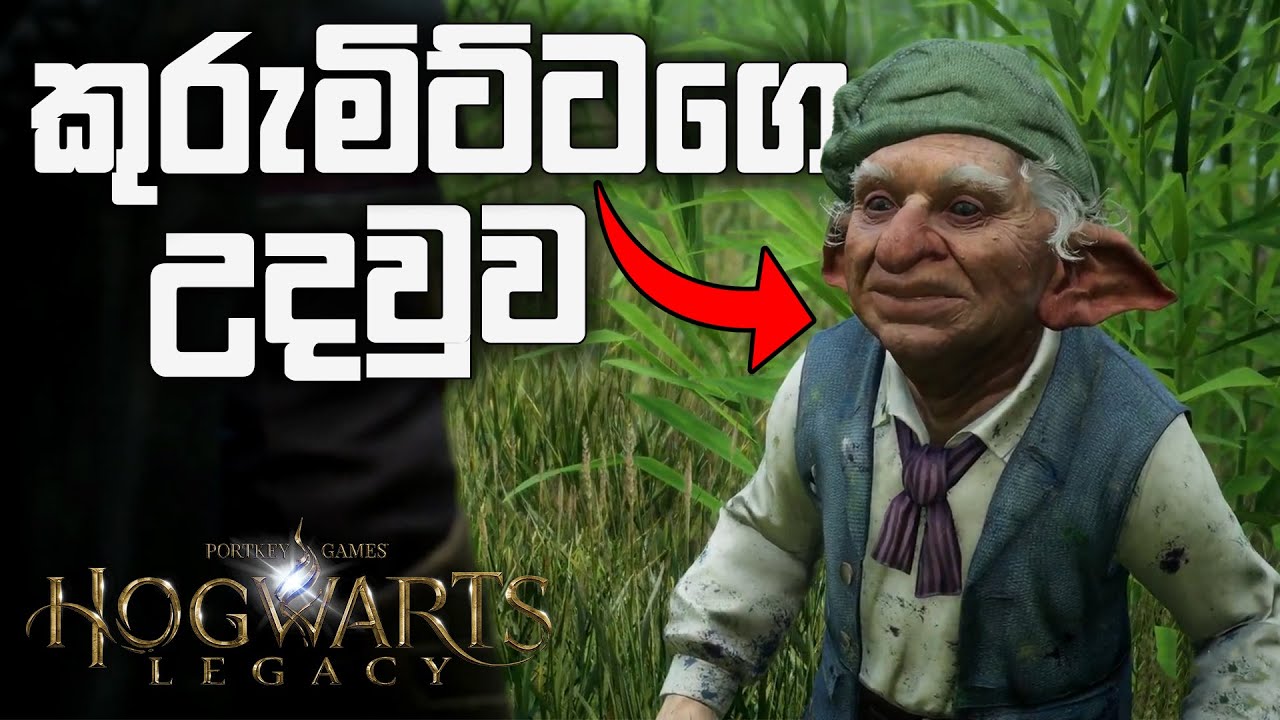කුරුමිට්ටගෙ උදවුව | Hogwarts Legacy Sinhala | Day 05 Side Quest