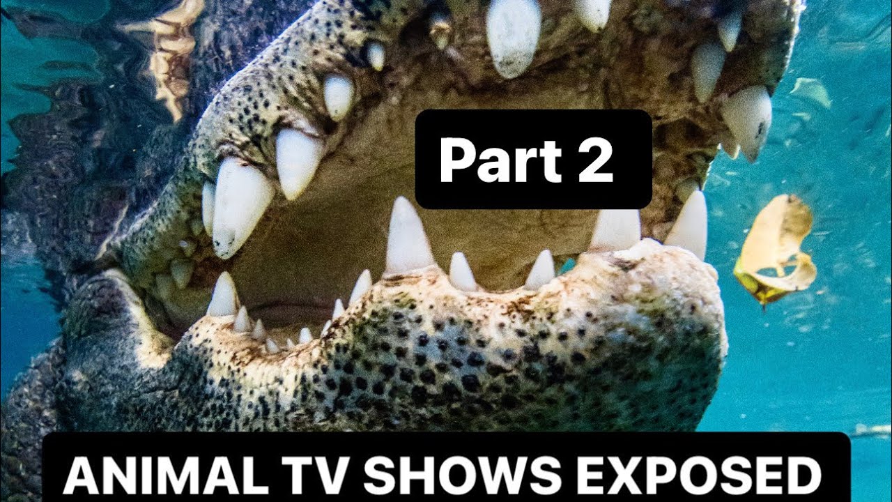 My experiences working in TV, part 2