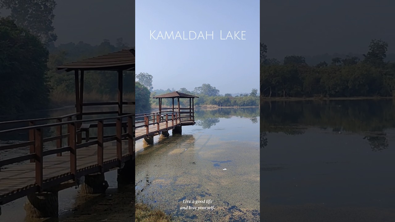 Озеро Камалда, Паламау, Джаркханд l 