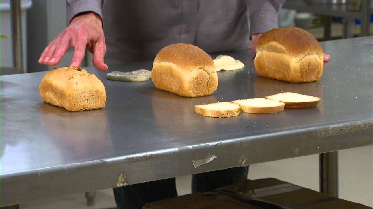 Flour Quality Demo (2/16/13)