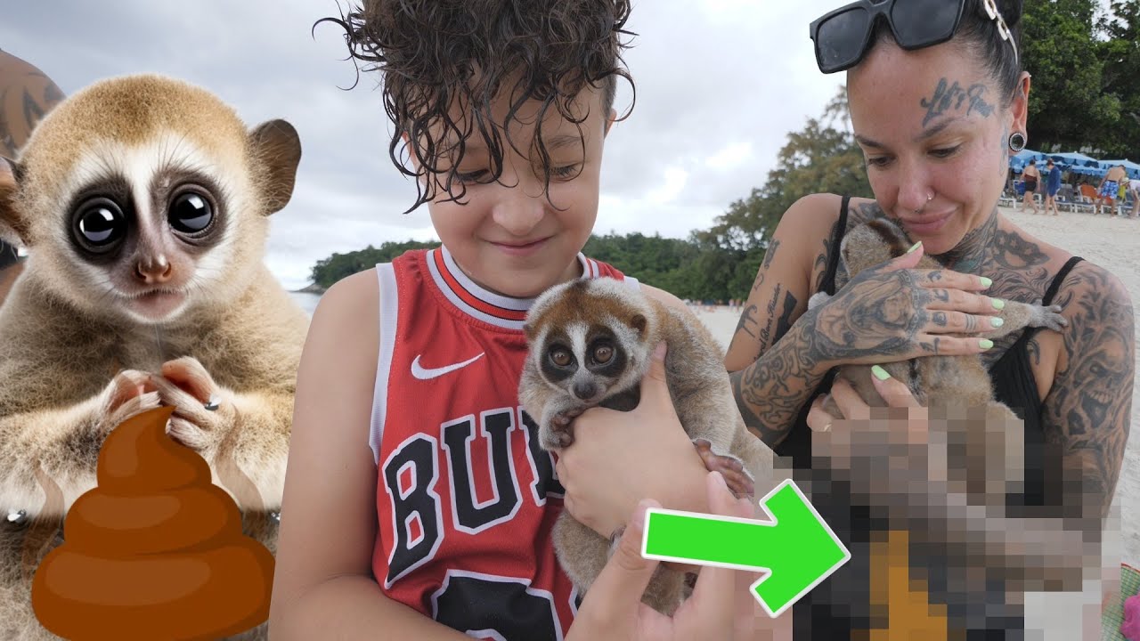 Apan Bajsade Ner Morsan - VLOGG