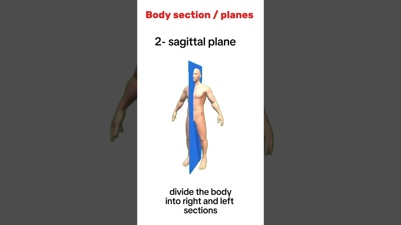 Anatomical planes/sections of the body#education #antony