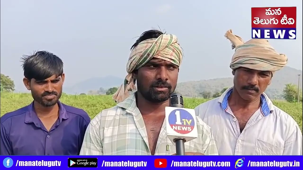 ఉమ్మడి పశ్చిమగోదావరి జిల్లామిర్చి రైతు కుదేలు