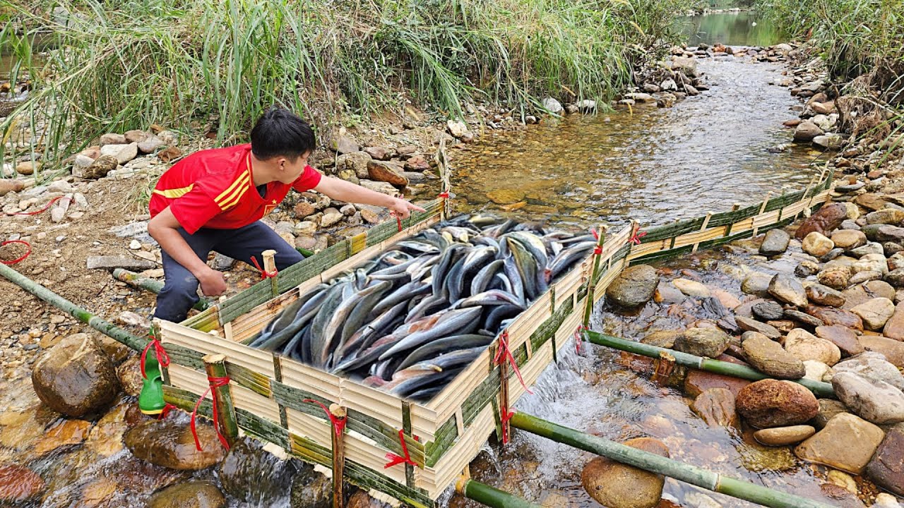 The boy Lam weaved bamboo to make a trap to catch fish in the stream.Luckily he caught a lot of fish