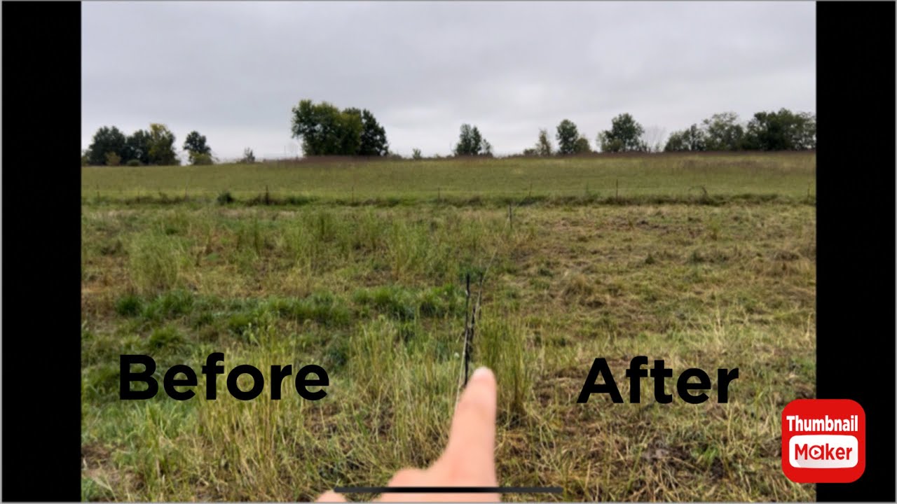 Example of why pasture needs rest