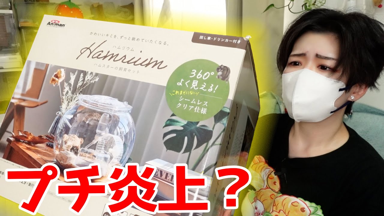 ハムリウム｜酷評されているドギーマンから出たハムスターケージを徹底レビュー！