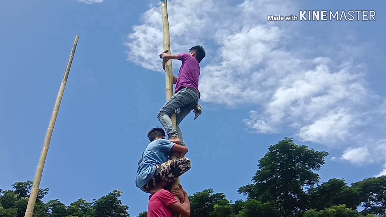 Funny Videos (Palosebo) 