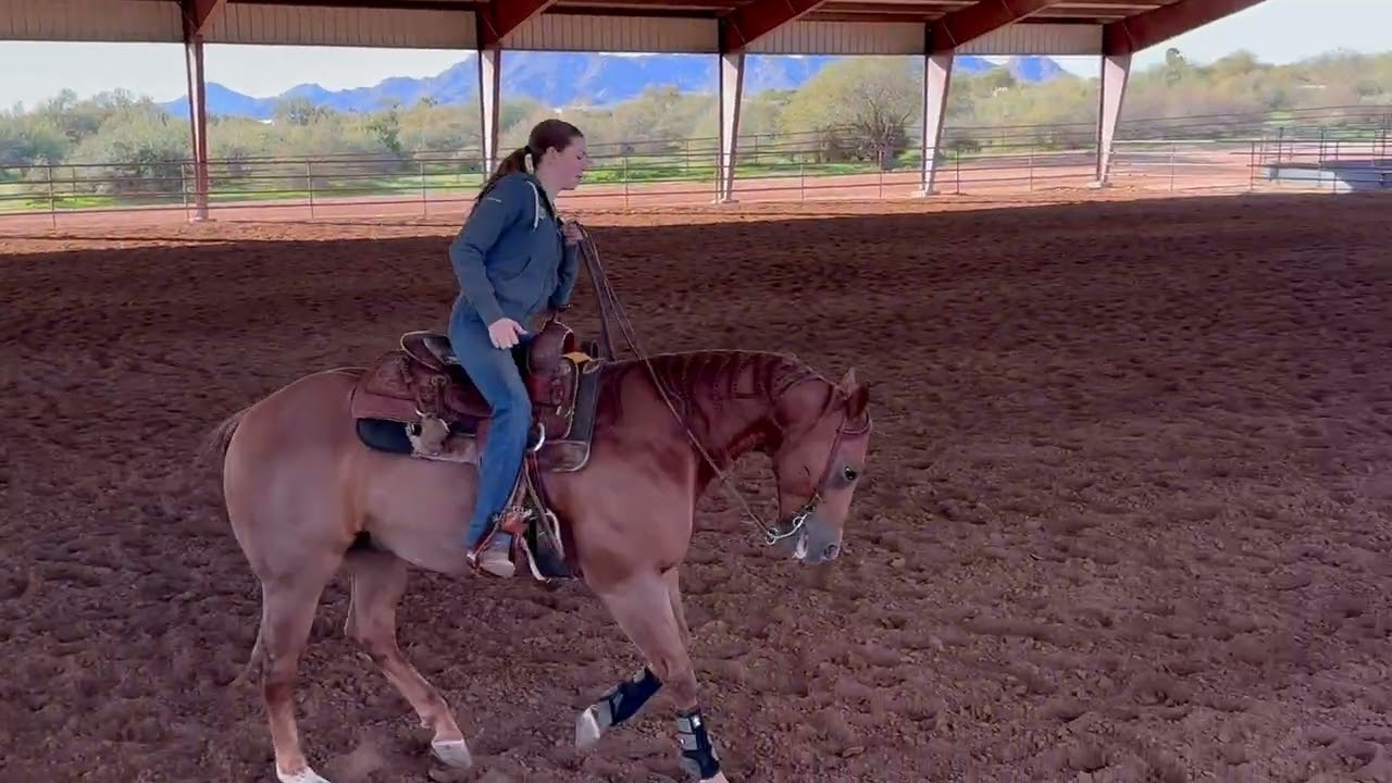 January 2026 Working on Mitch