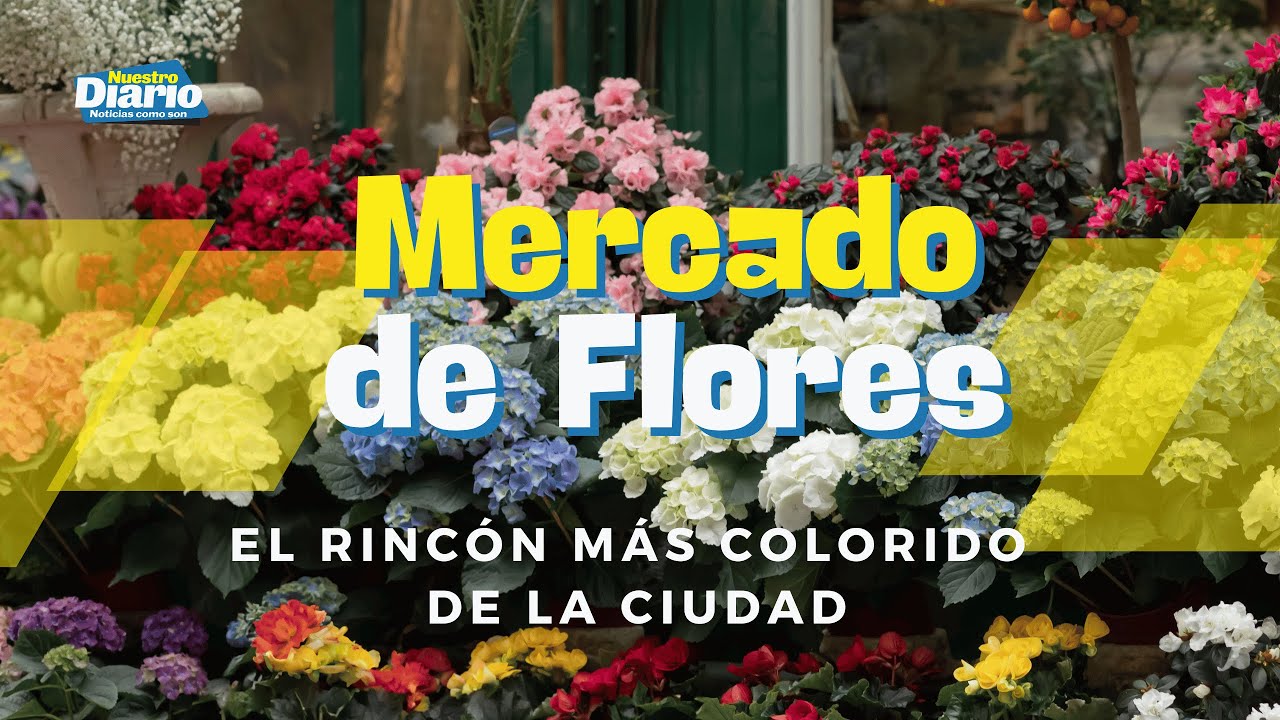 Mercado de Flores: un viaje a través de colores y tradición