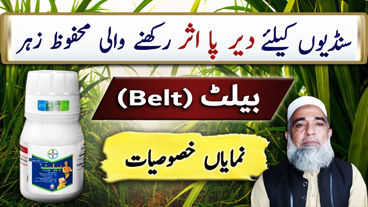 Belt 48 SC, a long short insecticide || Crop Reformer