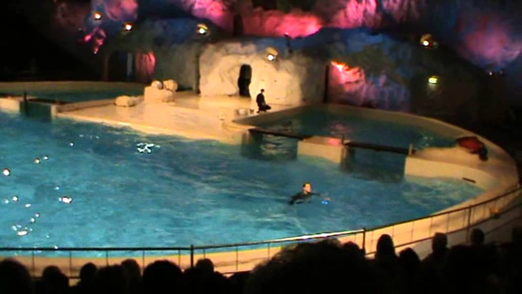 Dolphin Show, Dolfinarium Harderwijk