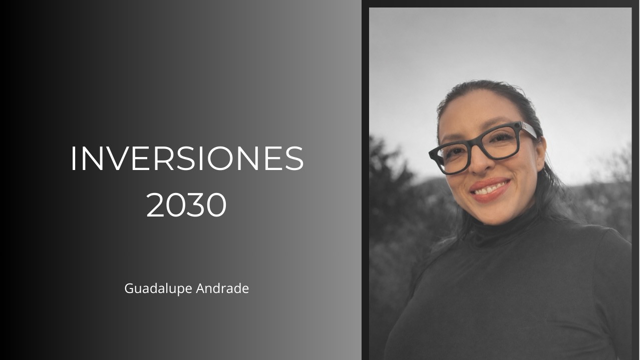 INVERSIONES 2030