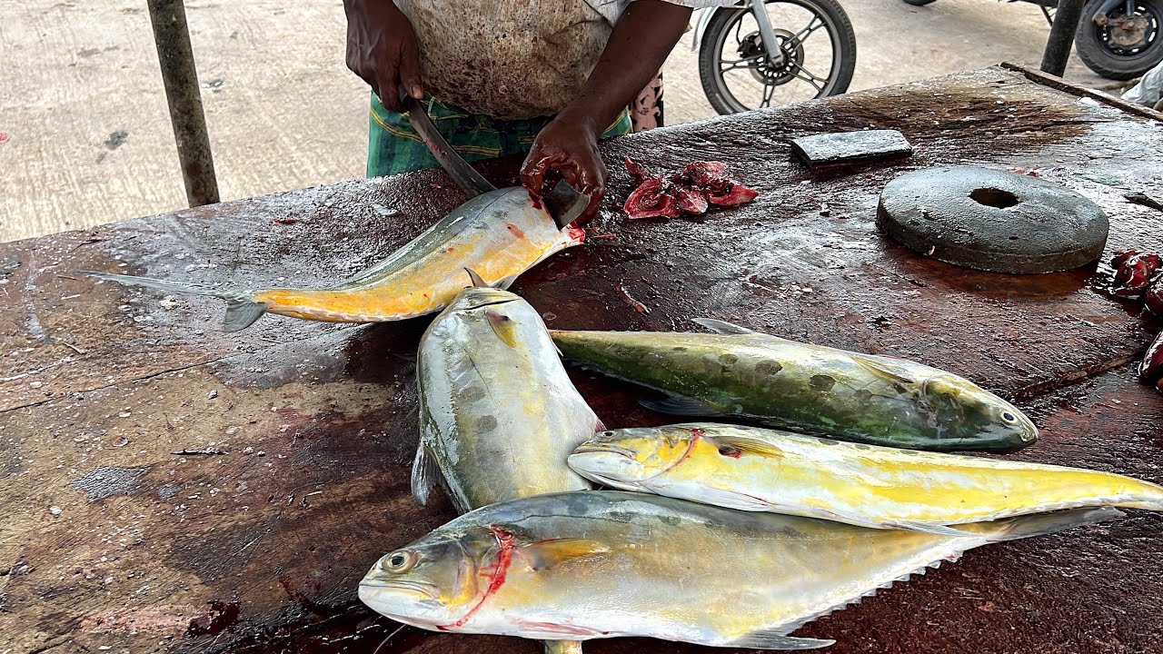 Fresh Queenfish Cutting for Dry Fish | Queenfish Cutting Skills
