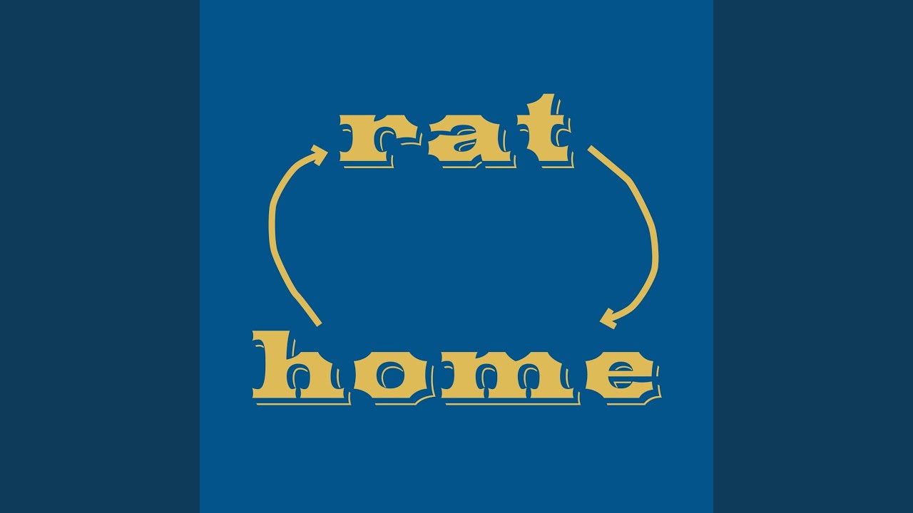 rat