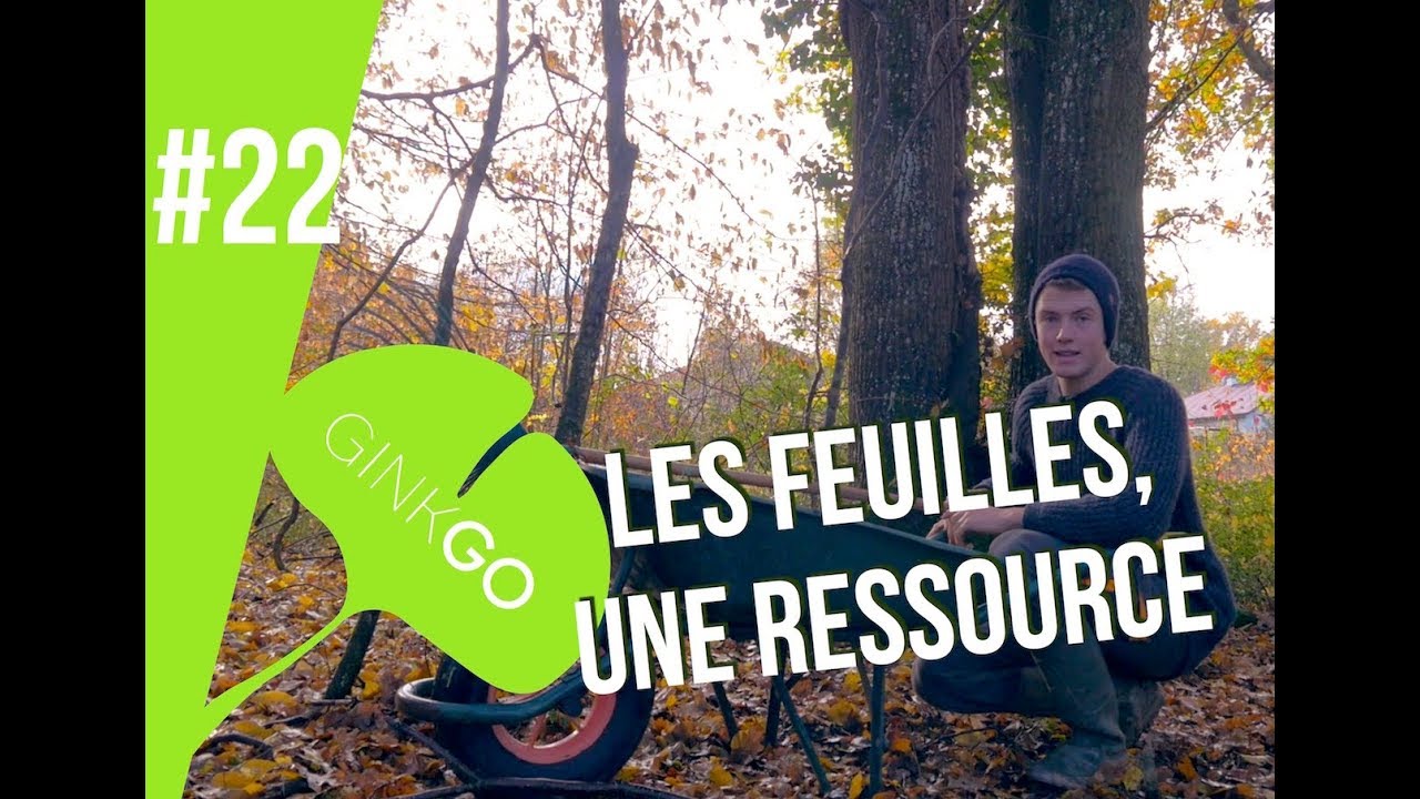 Potager bio : une MAGNIFIQUE ressource !!!