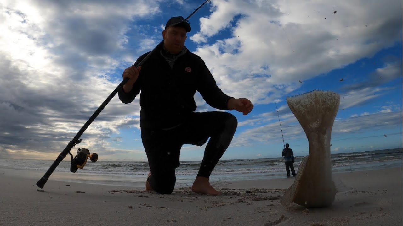 PLENTY of KOB in the water!