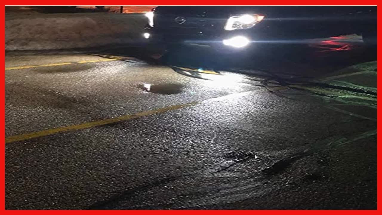 Upgrade Your Ride with High Performance H8 H11 LED Fog Lights