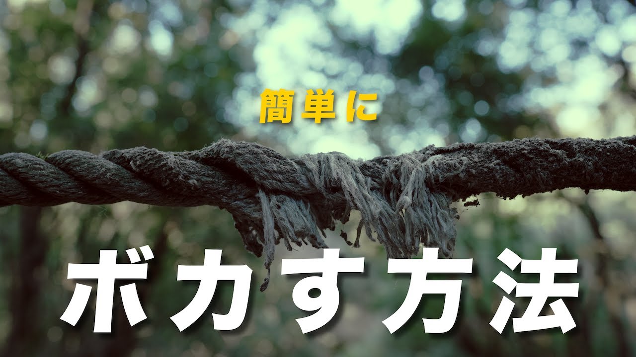 動画初心者でも出来る！背景をボカす撮影方法【スマホOK】