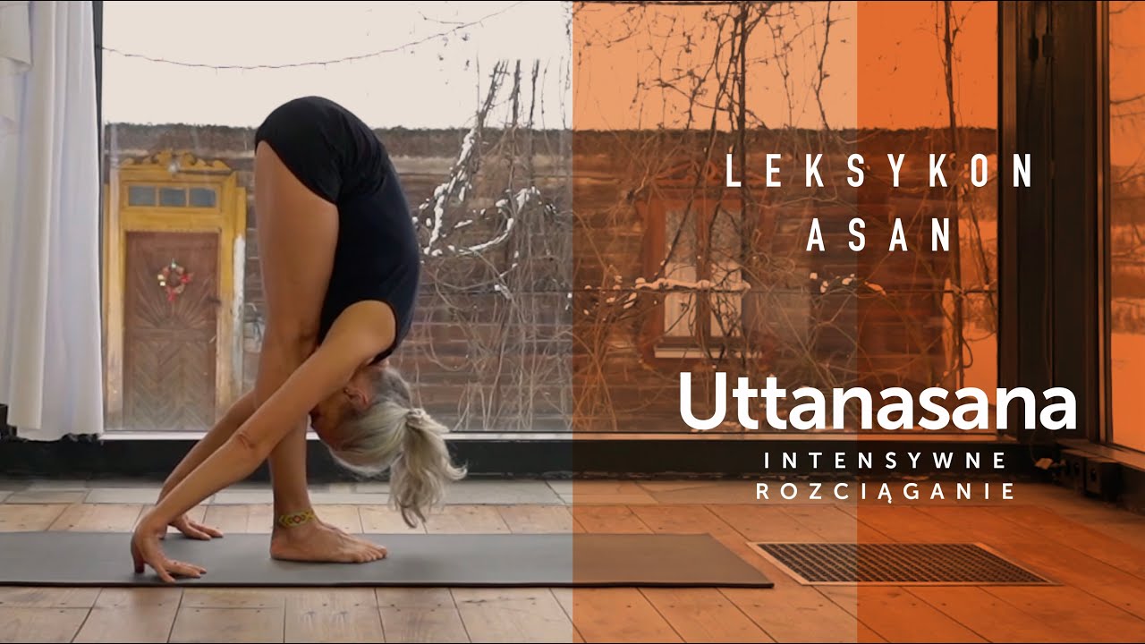 018  UTTANASANA / Intensywne rozciąganie - odkryj LEKSYKON ASAN VIDEO Joga Foksal